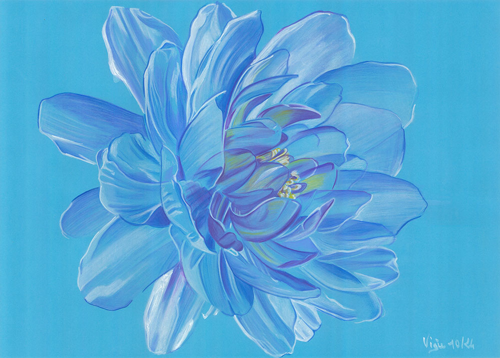 Dessin d'une fleur de nénuphar, dans un camaïeu de bleus.