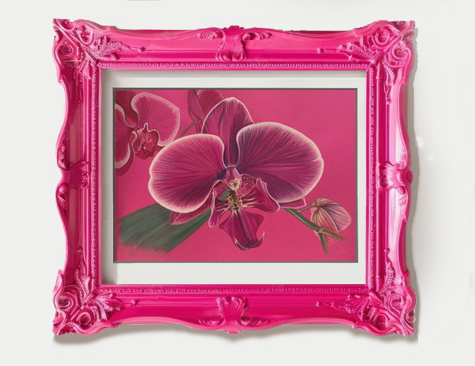 Dessin d'une orchidée rose dans un cadre rose