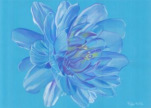 Dessin original d'une fleur de nénuphar, dans des teintes de bleus, sur fond bleu