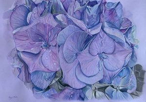 Dessin dans les tons bleus et violets d'une fleur d'hortensia.