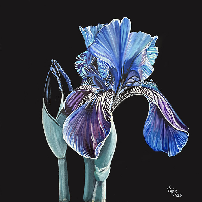 Huile sur toile représentant un iris dans les tons bleus et verts sur fond noir