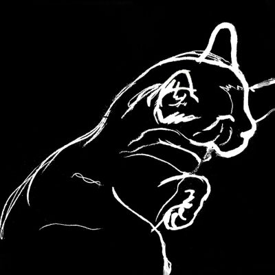 Dessin d'un chat qui dort, en blanc sur fond noir